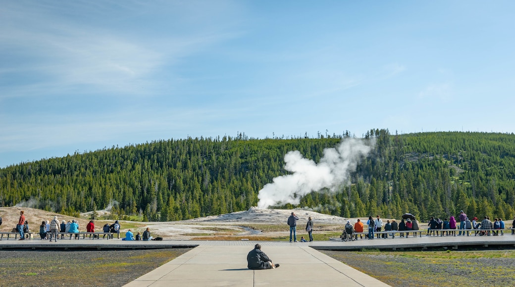 Aguas Termales Old Faithful