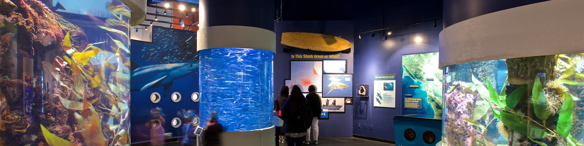 Aquarium of the Bay