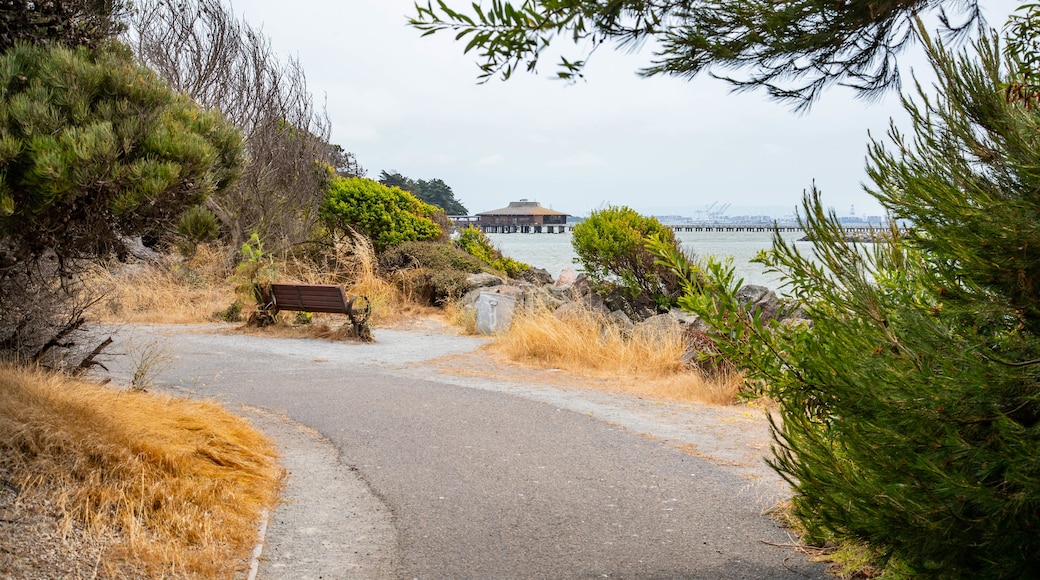 Berkeley Marina which includes general coastal views