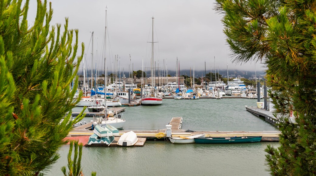 Berkeley Marina which includes a bay or harbor