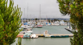 Berkeley Marina which includes a bay or harbor