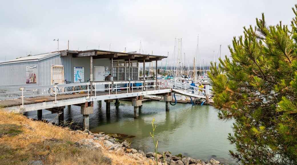 Berkeley Marina showing a bay or harbor