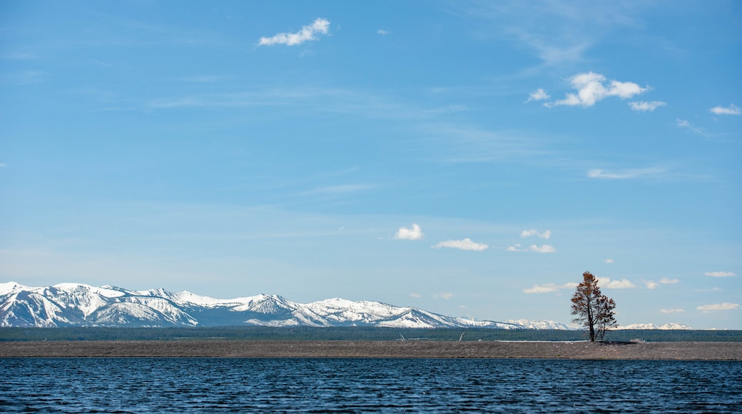 Yellowstone Lake which includes landscape views, mountains and a lake or waterhole