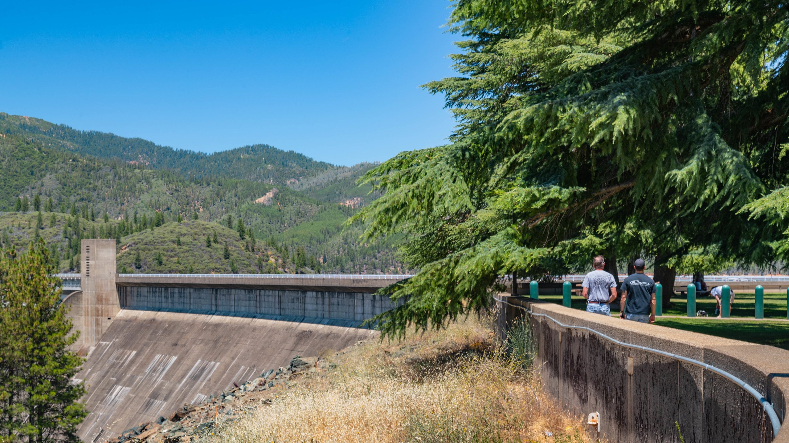 Shasta Dam showing tranquil scenes and a bridge as well as a couple
