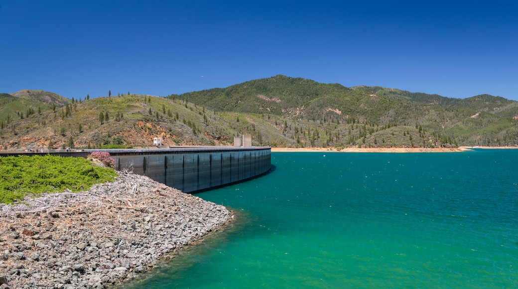 Shasta Dam