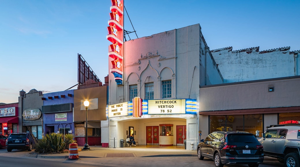 Texas Theatre