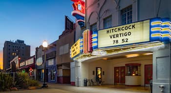 Texas Theatre showing night scenes and signage