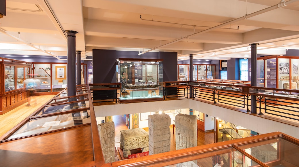 Museo Peabody de Arqueología y Etnología