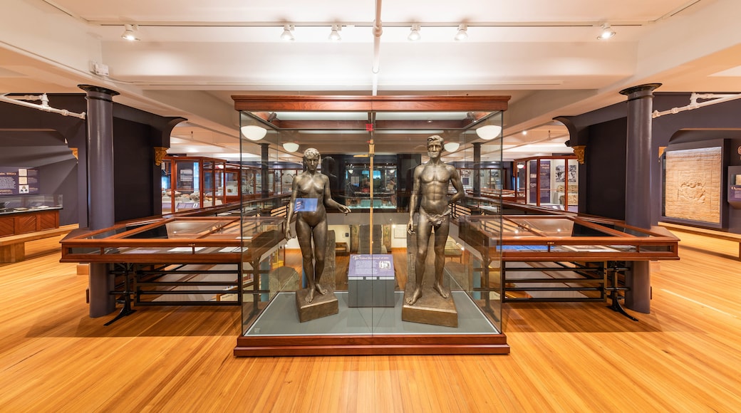 Peabody Museum of Archaeology and Ethnology