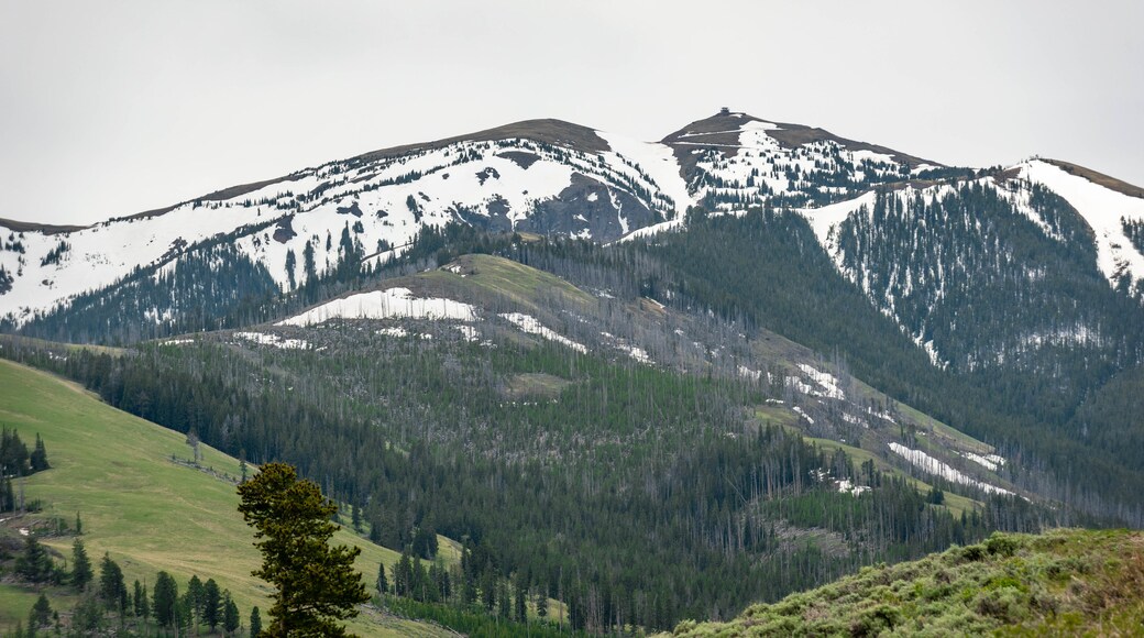 Mont Washburn