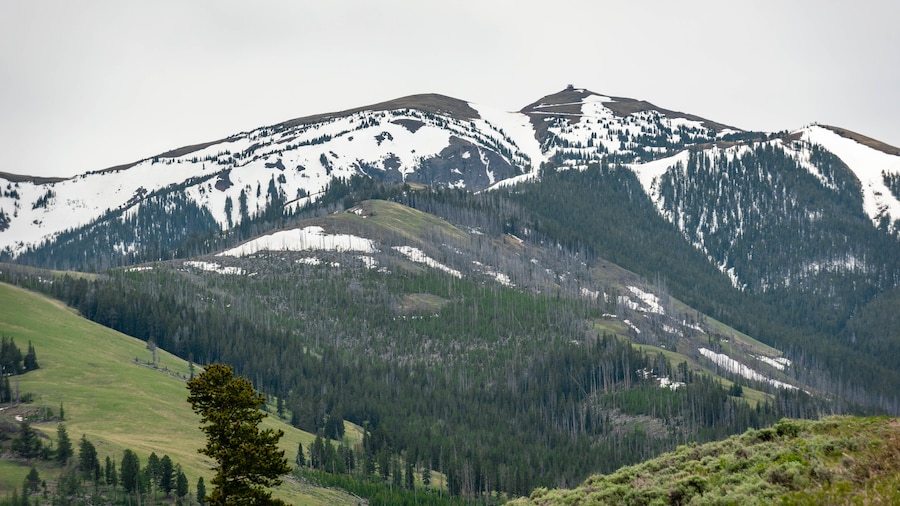 Mont Washburn