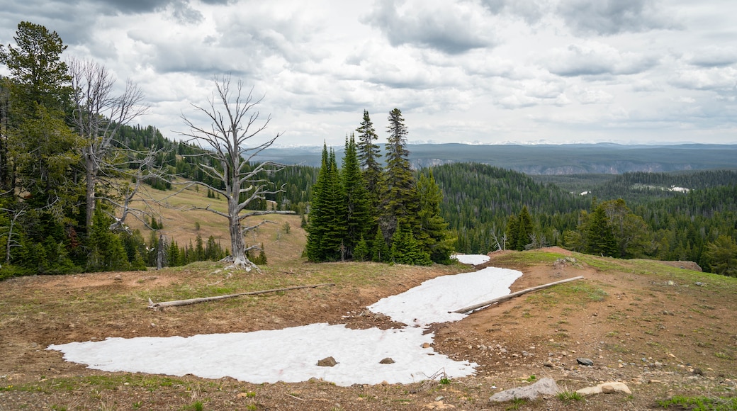 Mt. Washburn