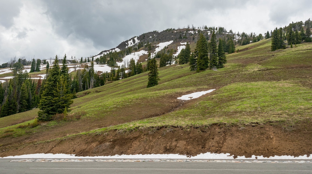 Mt. Washburn