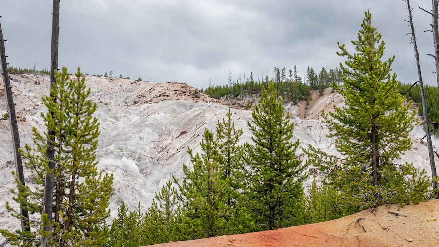 Roaring Mountain