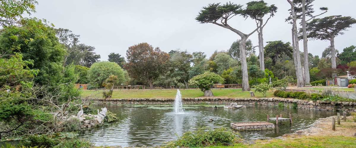 San Francisco Zoo