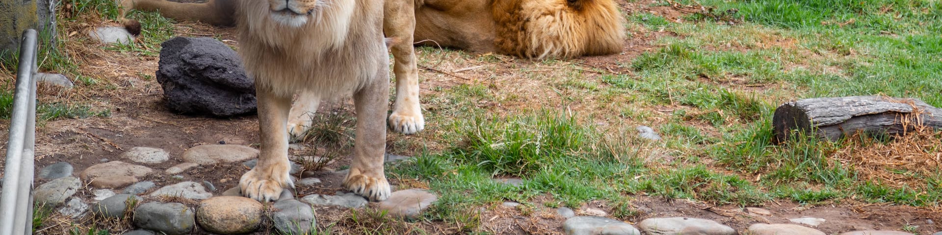 San Francisco Zoo