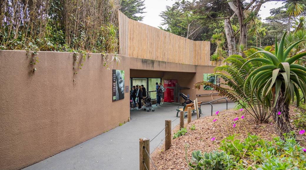 San Franciscos zoologiske have