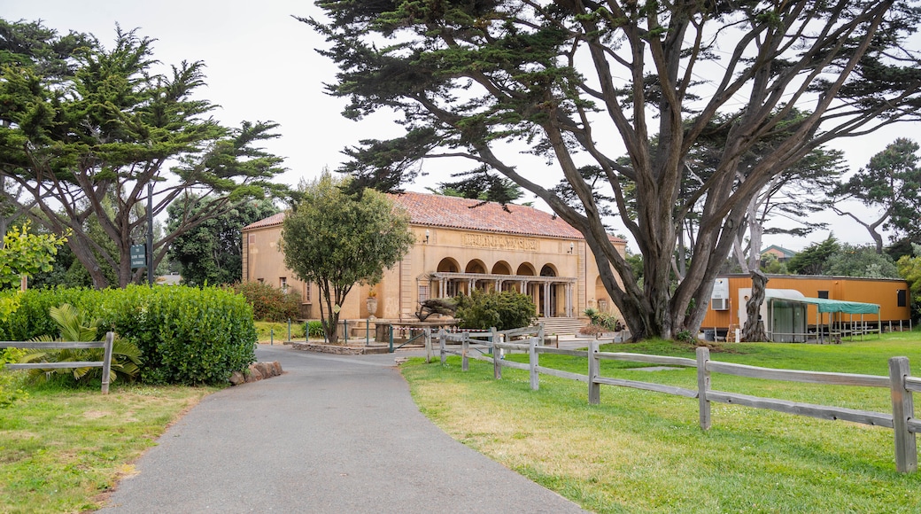 San Franciscos zoologiske have