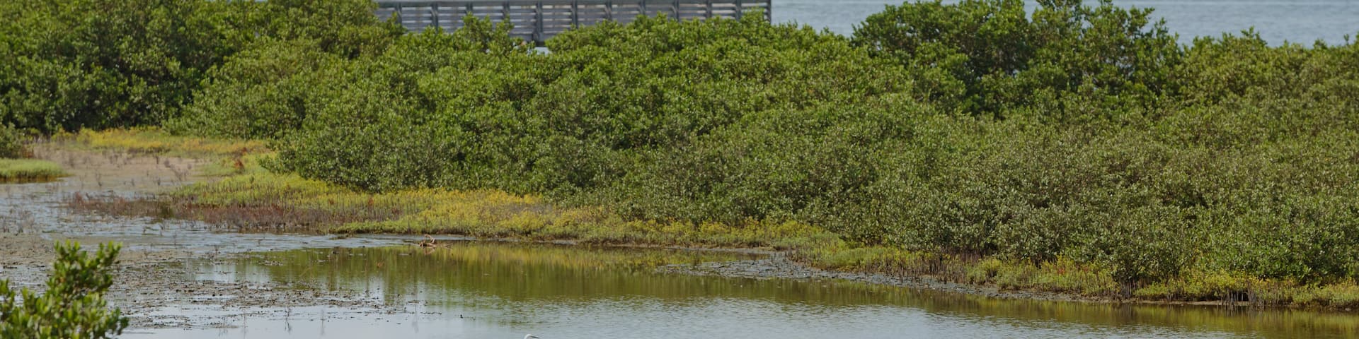 Laguna Madre Nature Trail