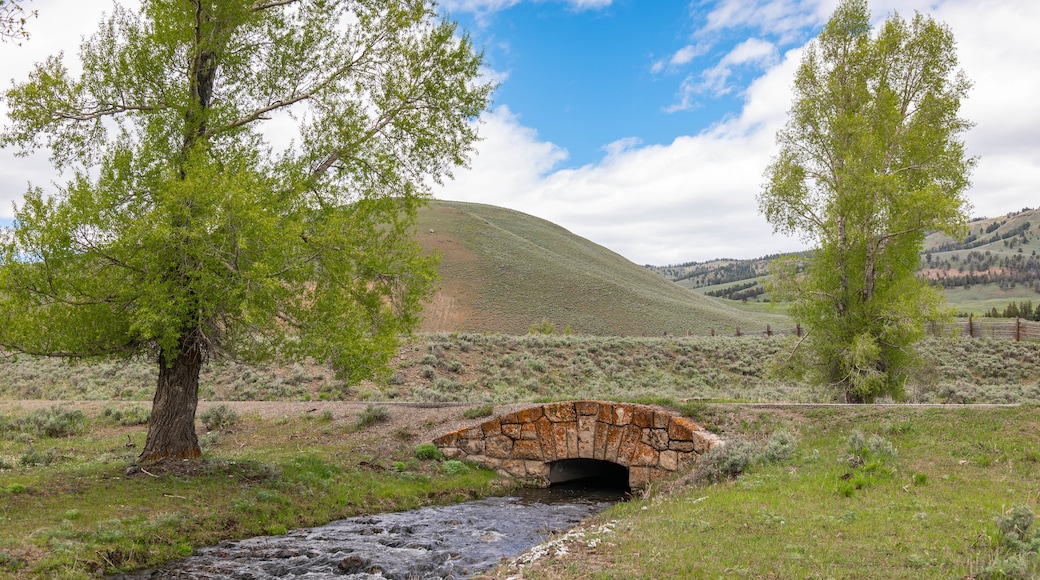 Lamar Valley