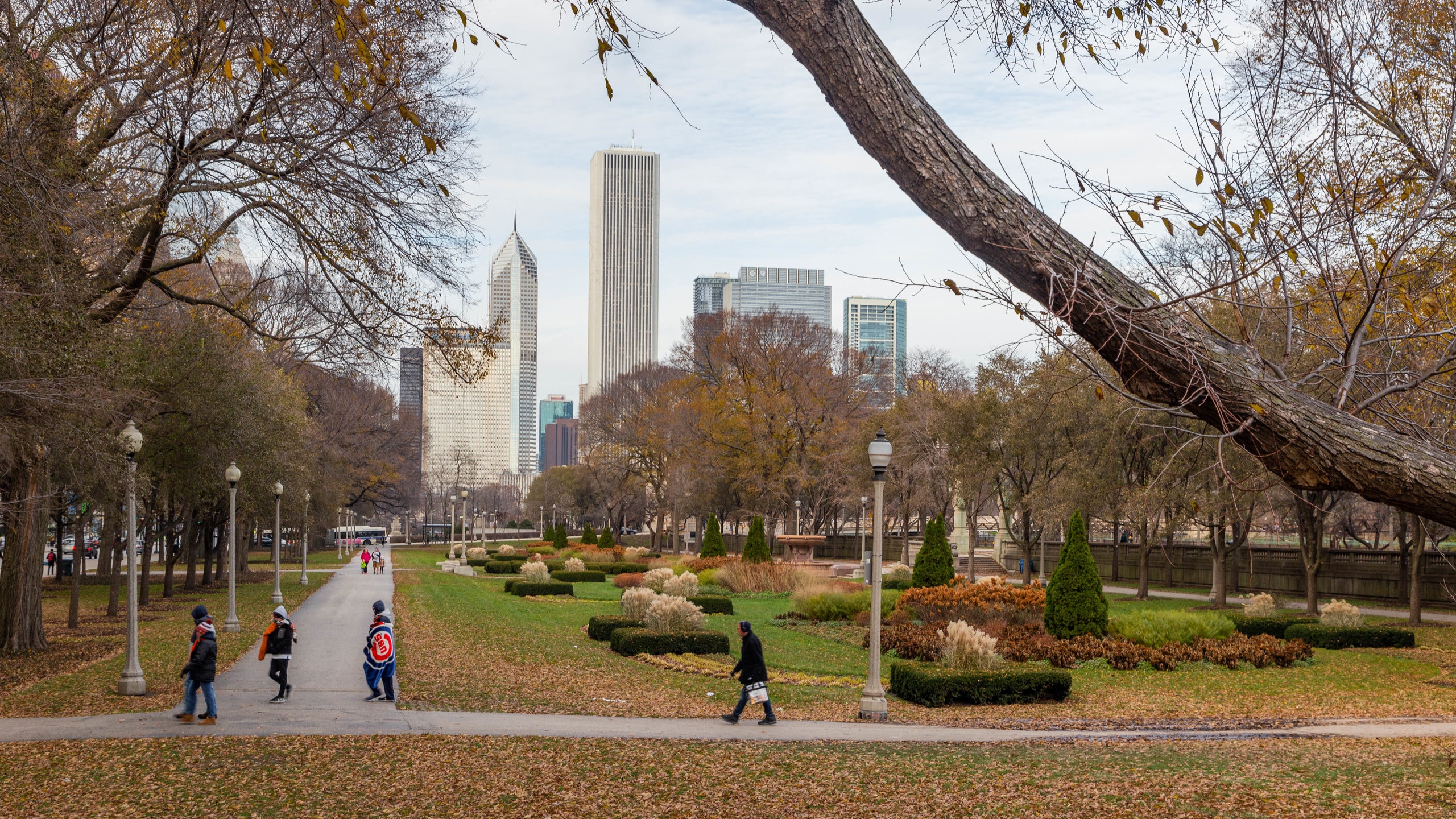 グラント パーク シカゴ旅行 エクスペディア