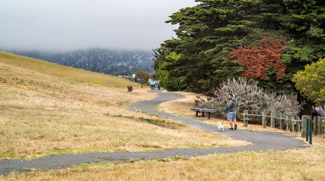 Parc César Chávez