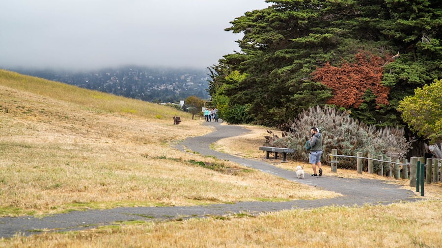 Cesar Chavez Park