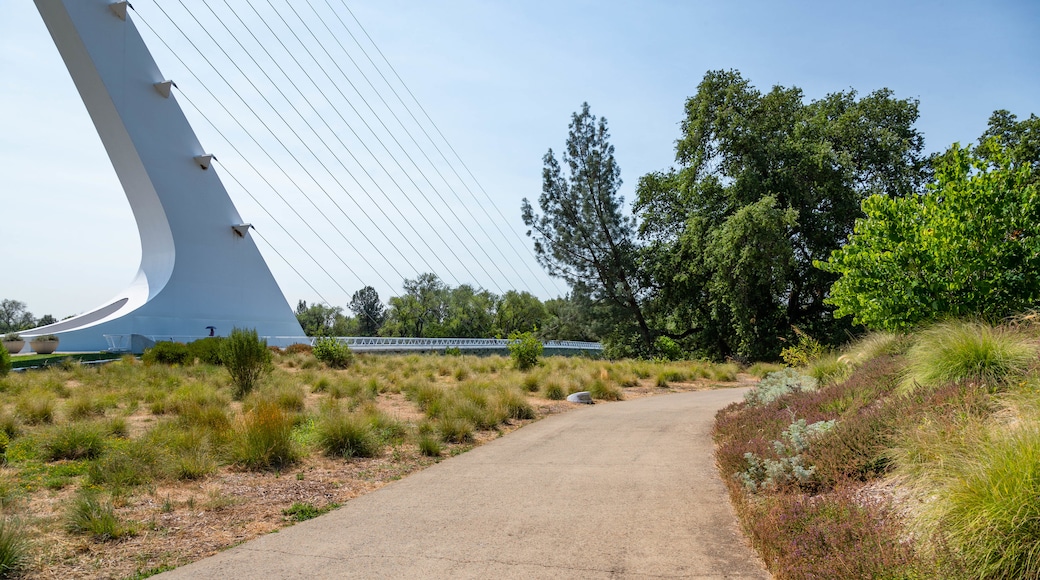 Sacramento Rail Trail