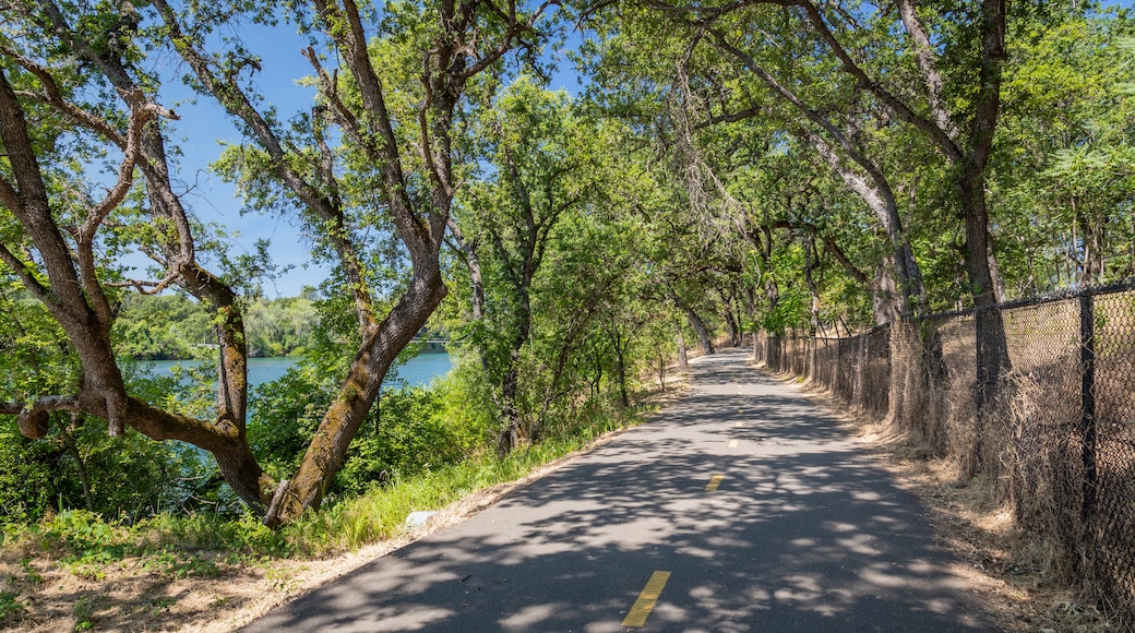 Sacramento Rail Trail