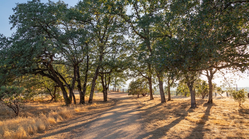 Sacramento Rail Trail