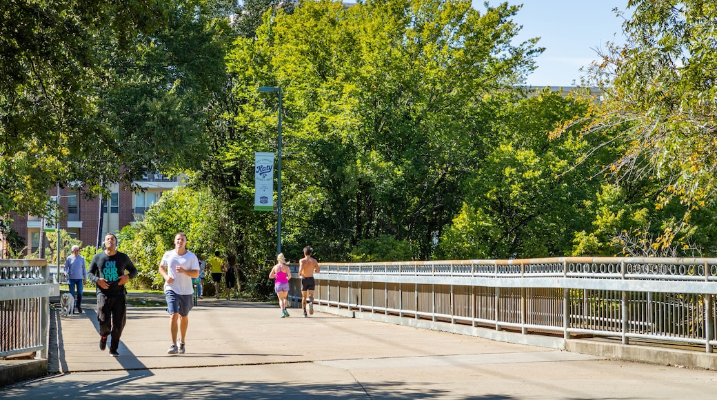 Katy Trail