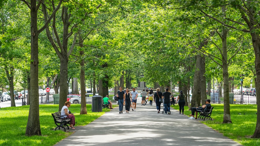 Commonwealth Avenue Mall