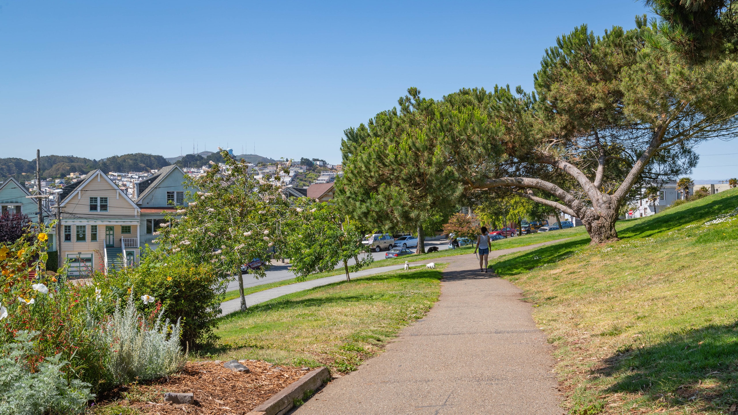 Bernal Heights Rent