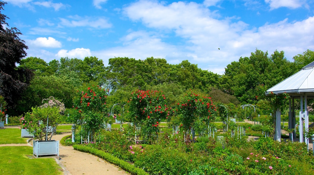 Botanischer Garten Hamburg Botanischer Garten in Hamburg | Expedia