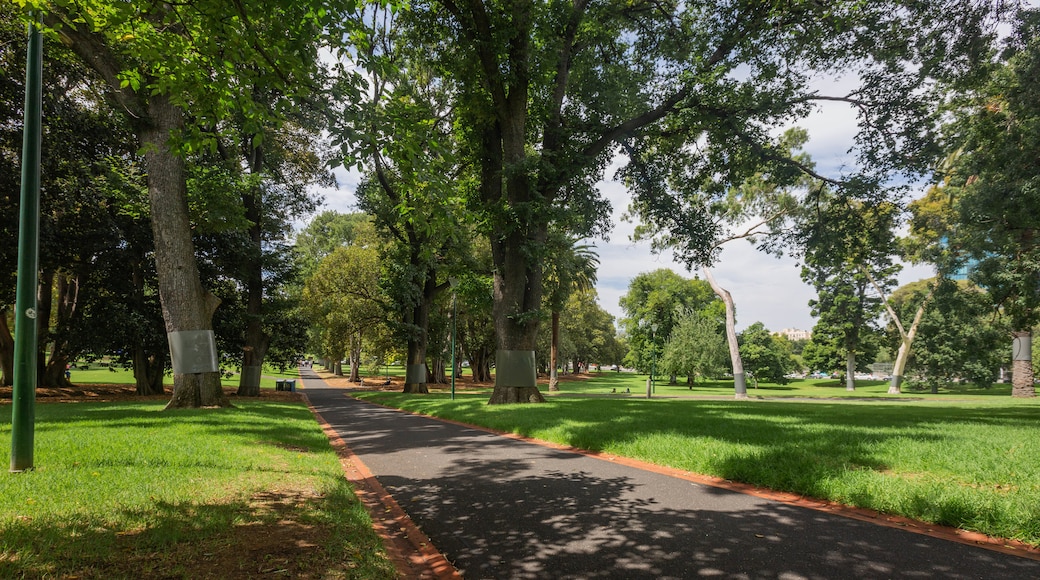 Treasury Gardens