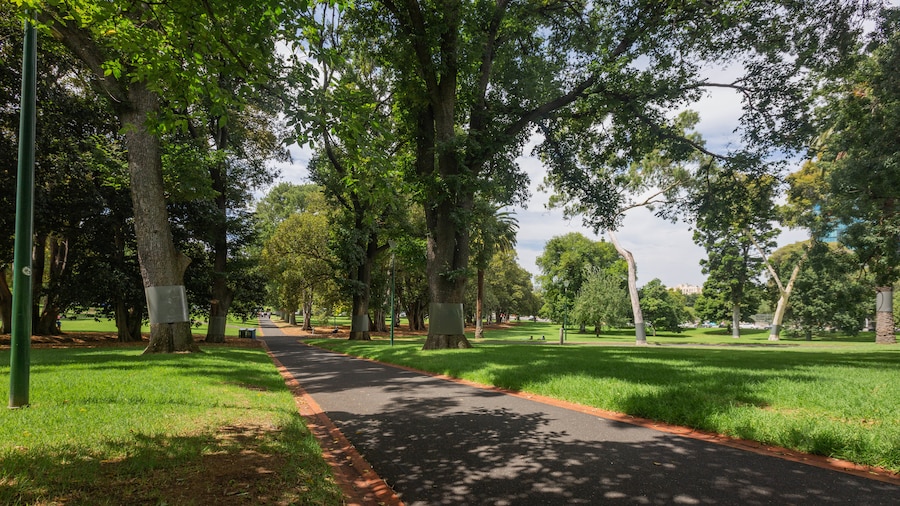 Treasury Gardens