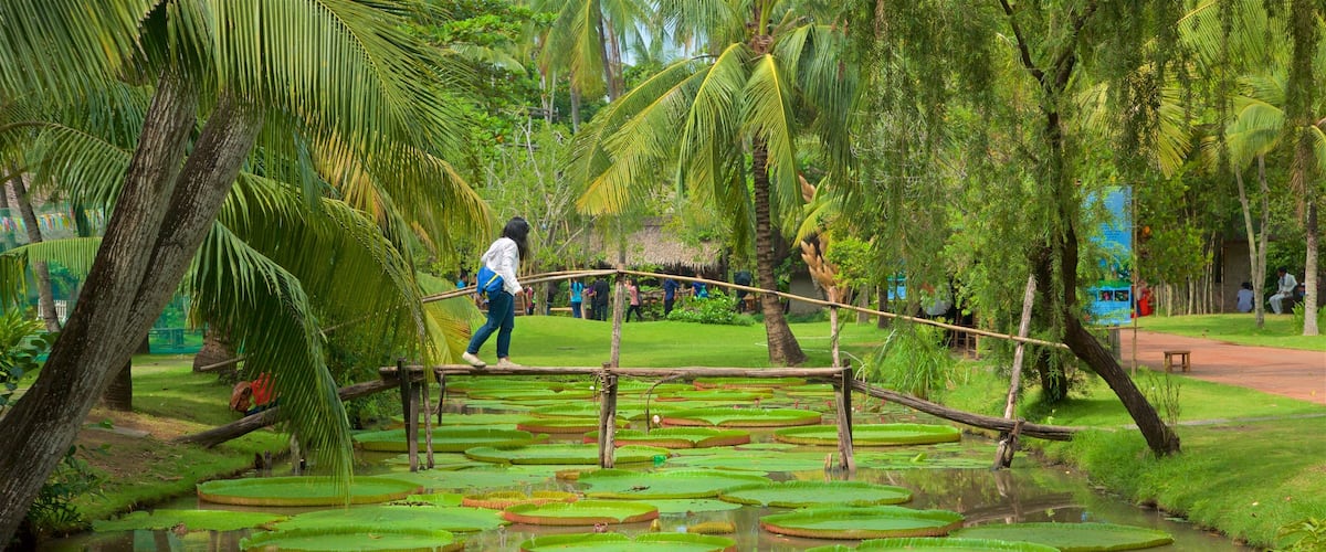 Vietnam featuring a river or creek, a bridge and a pond