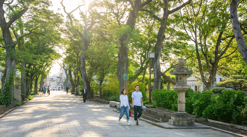 Sumiyoshi Park showing a park and a sunset as well as a couple