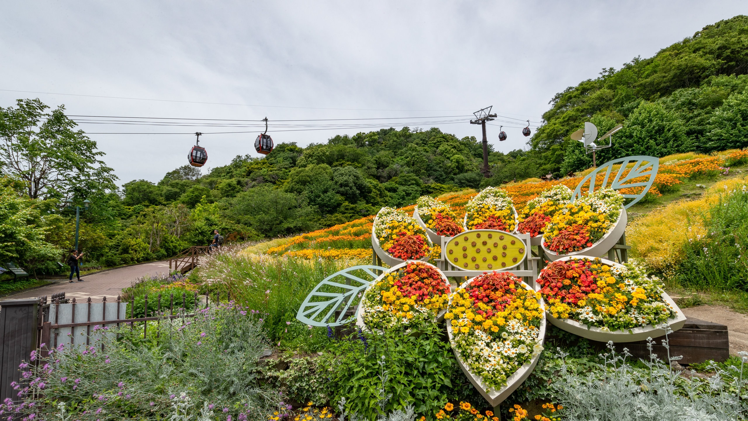 ミュージシャン HERB GARDEN Kobe Nunobiki Herb Garden Tours - Book Now | Expedia
