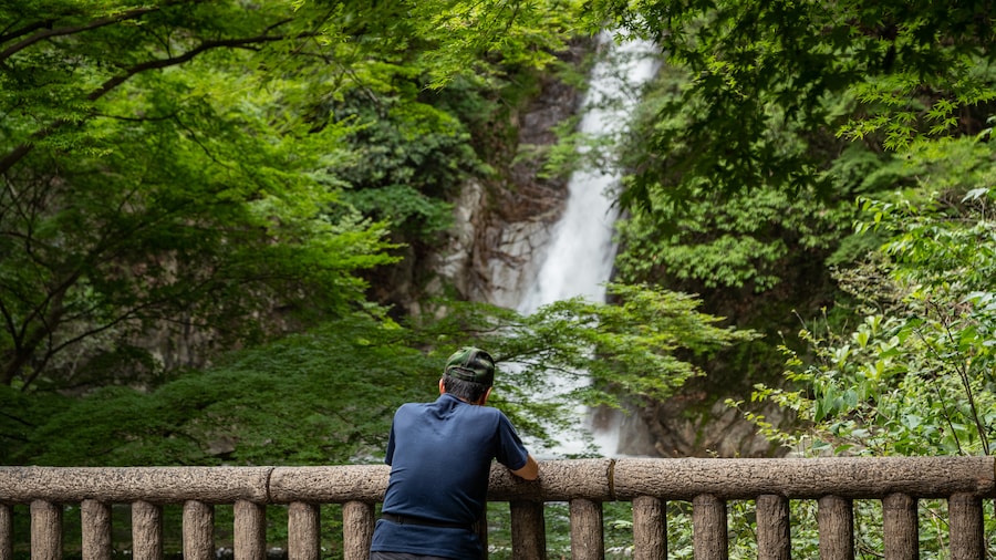 Nunobiki Falls showing a waterfall as well as an individual male