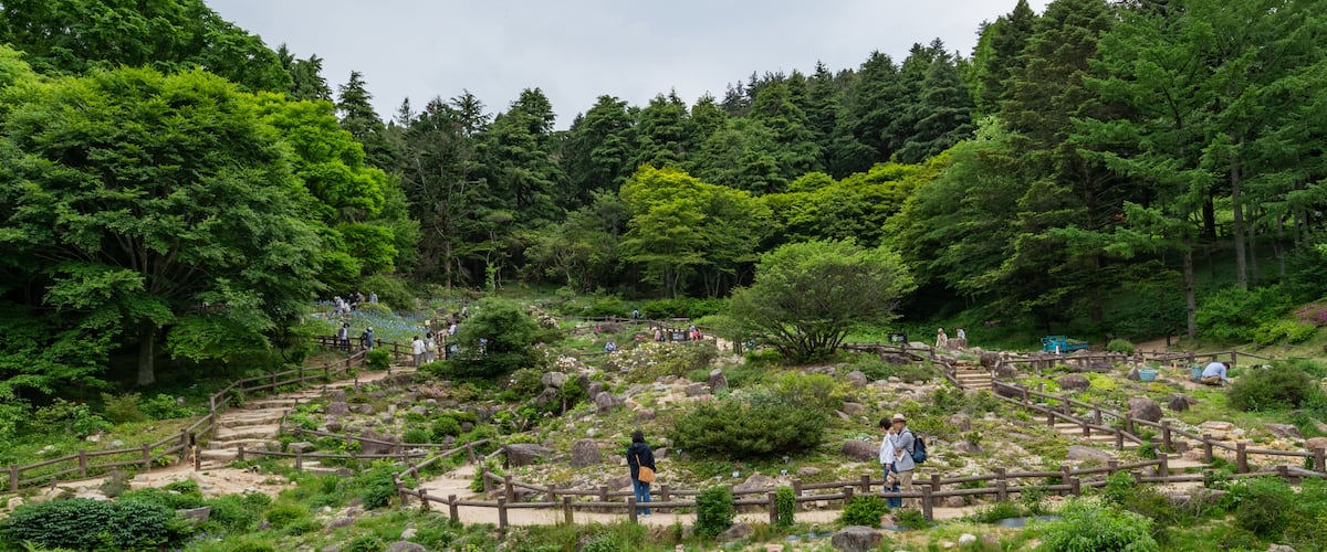 Rokko Alpine Garden showing a garden and a pond