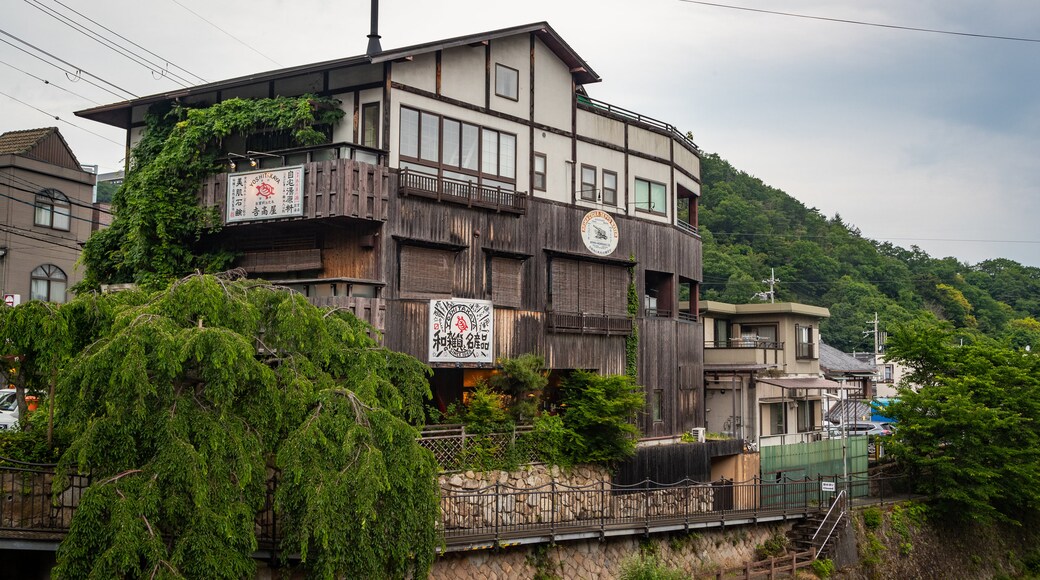 Arima Hot Springs showing a small town or village