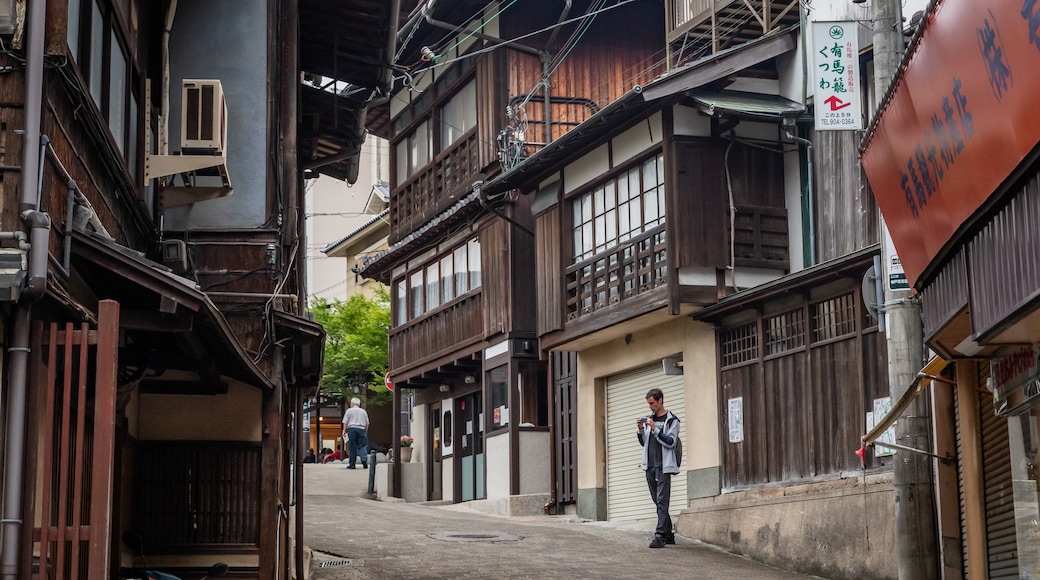 Arima Hot Springs showing street scenes