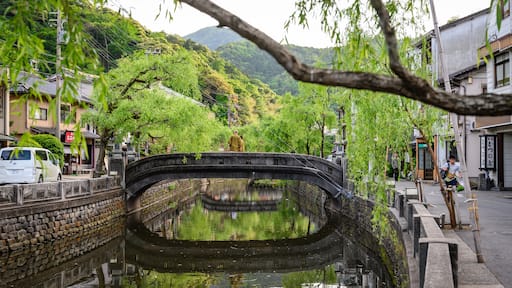 Kinosaki Onsen featuring a small town or village, a bridge and a river or creek