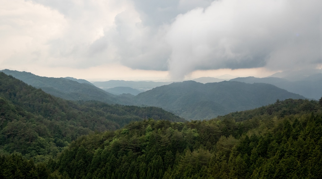 Arima Hot Springs featuring tranquil scenes, landscape views and forests