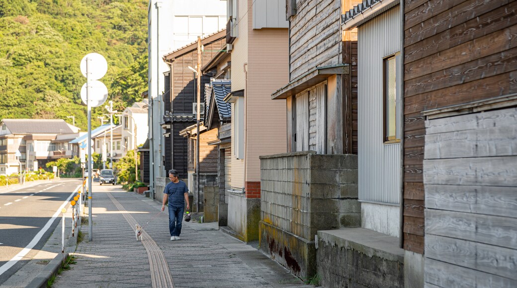 Takeno Beach showing street scenes and cuddly or friendly animals as well as an individual male