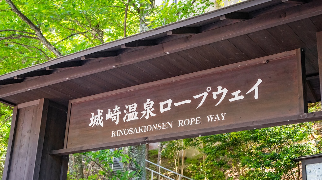 Téléphérique Kinosaki Onsen Ropeway