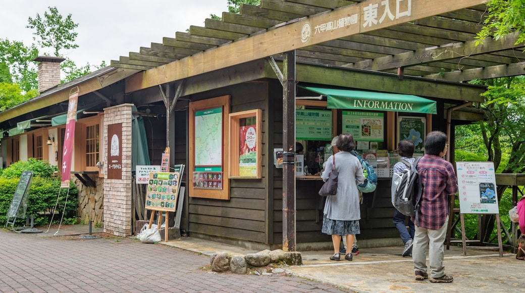 Rokko Alpine Garden