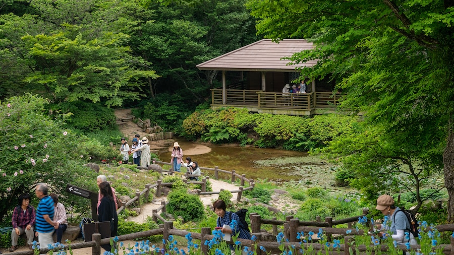 Rokko Alpine Garden