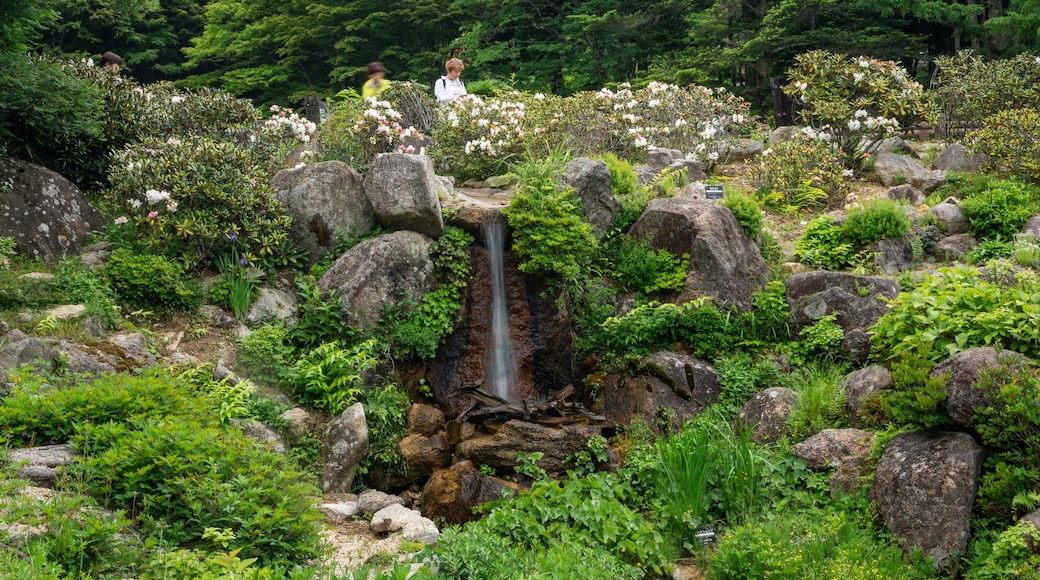 Jardín botánico Rokko Alpine